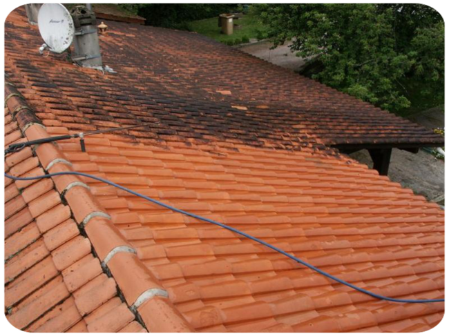 Nettoyage de toiture Garancières 78890 Yvelines Île-de-France